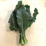 OBF Dino Kale, 1 bunch