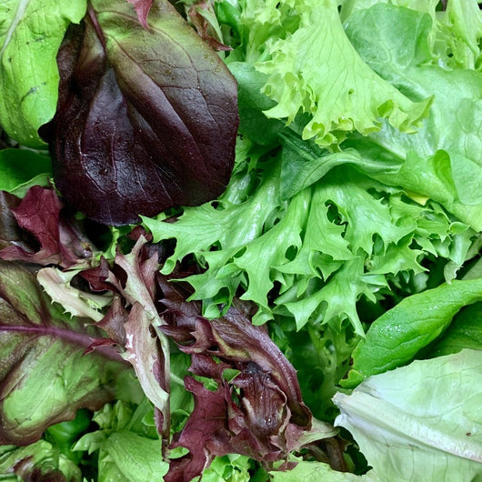 PGF Salad Mix (Salanova), 5 oz