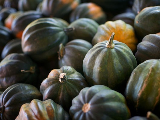 IFH  Winter Squash, Acorn, each