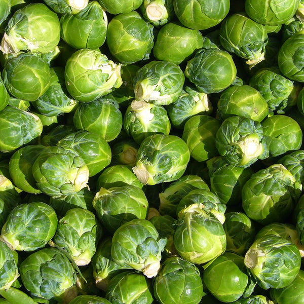 PGF Brussels sprouts, pint