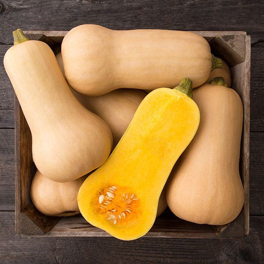 PGF Squash, Butternut, each