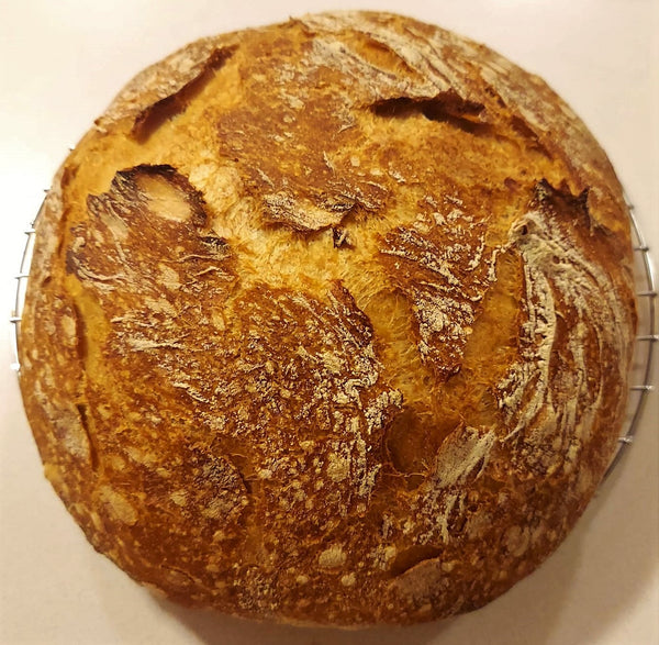 CEF Country White Boule