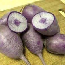 HHHa Radishes, Purple Daikon