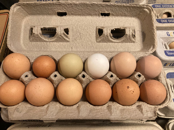 KMA Farm Fresh Eggs, 1 dozen