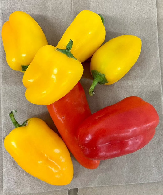 IFH Sweet Snacking Peppers