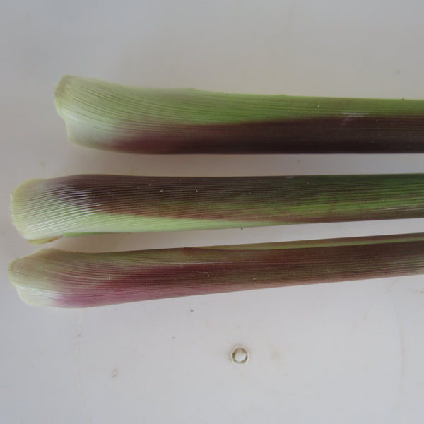 CCP Herbs - Lemongrass