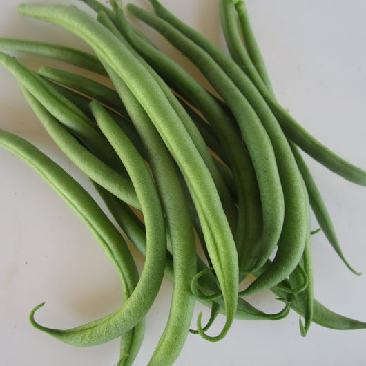 CCP Beans, Filet - Green