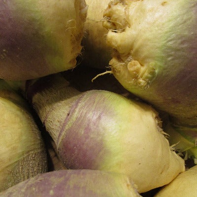 IFH Rutabaga, 2lb