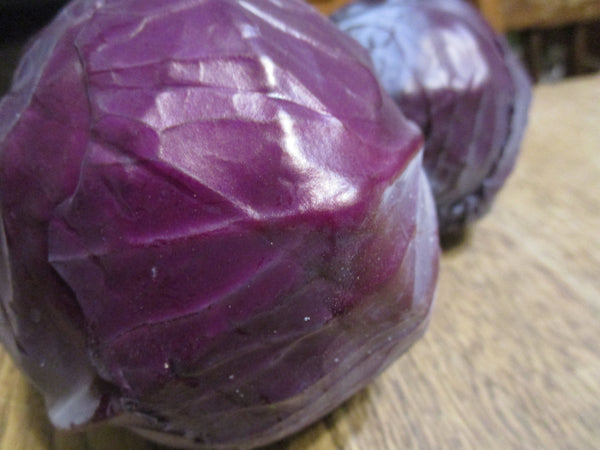 IFH Red Cabbage