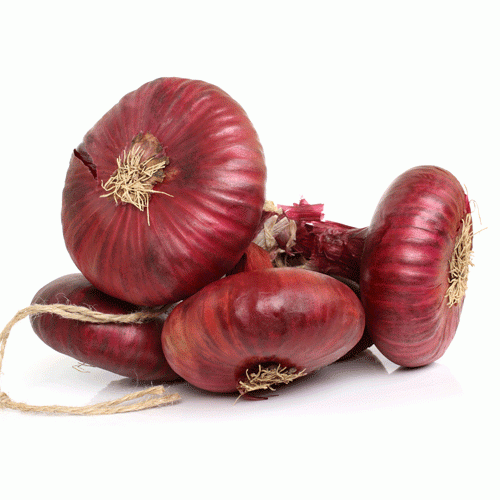 IFH Onion, Cipollini - 1lb Red