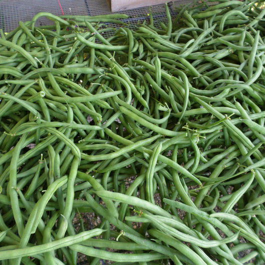 HHHa Green Beans, 1 lb