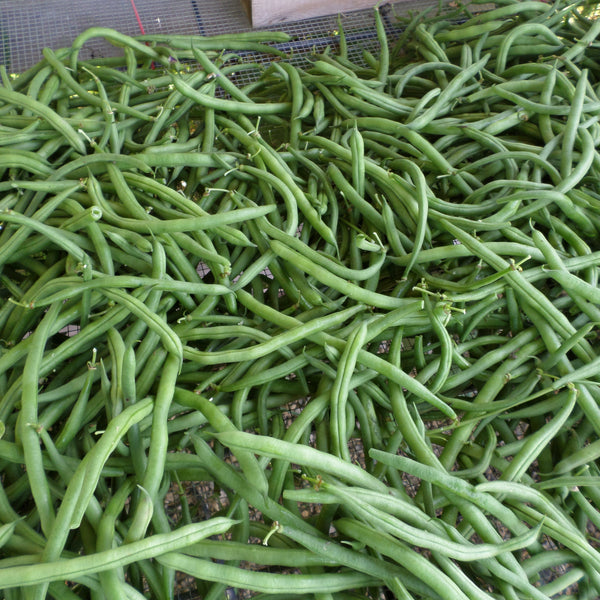 HHHa Green Beans, 1 lb