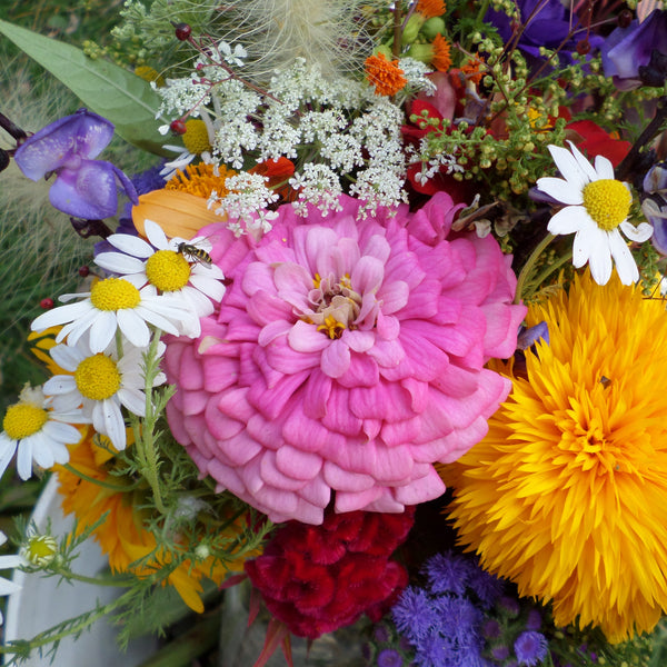 CCP Kitchen Table Bouquet