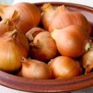 HHHa Shallots, pint