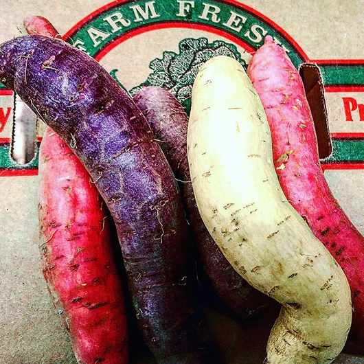 IFH Sweet Potatoes, White, 3 lbs,