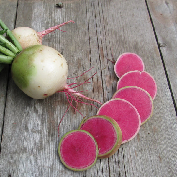 HHHa Radishes - Watermelon