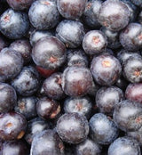 BFF - Blue Fruit Farm, Frozen Aronia, pints