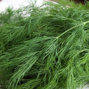 HHHa Herbs - Dill, 1 bunch