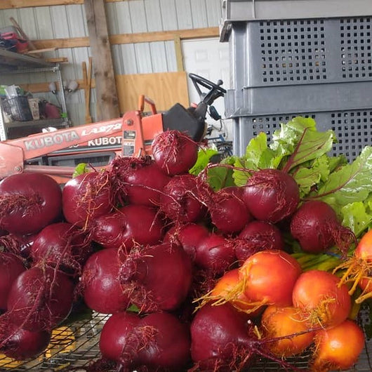 HHHa Beets, Bulk, Red