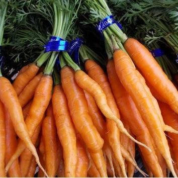 HHHa Carrots, various