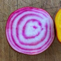 IFH Chioggia Beets, 2lb