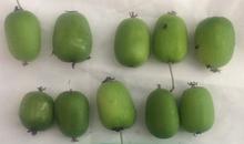 IFH - Hardy Kiwi berries