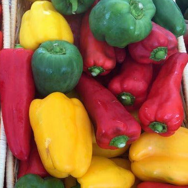 PGF Mini Sweet Peppers -  1 pint