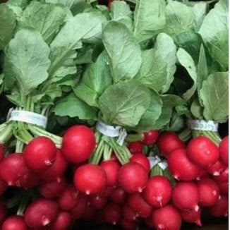 PGF Radishes, Red, bunch